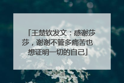 王楚钦发文：感谢莎莎，谢谢不管多痛苦也想证明一切的自己