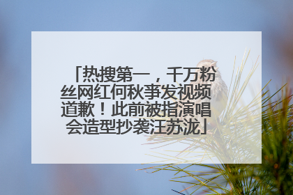 热搜第一，千万粉丝网红何秋亊发视频道歉！此前被指演唱会造型抄袭汪苏泷