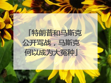 特朗普和马斯克公开骂战，马斯克何以成为大冤种