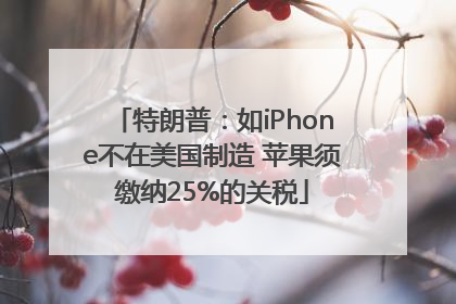 特朗普：如iPhone不在美国制造 苹果须缴纳25%的关税