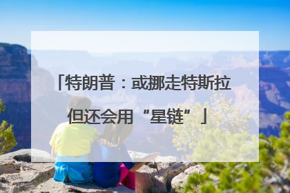 特朗普：或挪走特斯拉 但还会用“星链”