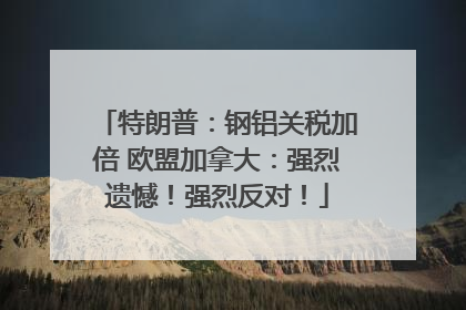 特朗普：钢铝关税加倍 欧盟加拿大：强烈遗憾！强烈反对！