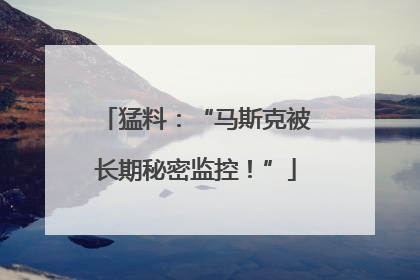 猛料：“马斯克被长期秘密监控！”