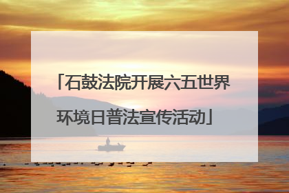石鼓法院开展六五世界环境日普法宣传活动
