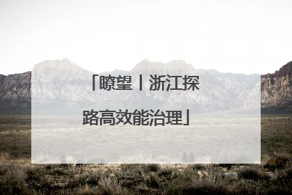 瞭望丨浙江探路高效能治理