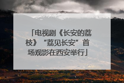 电视剧《长安的荔枝》“荔见长安”首场观影在西安举行