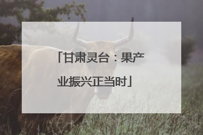 甘肃灵台：果产业振兴正当时