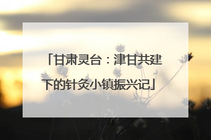 甘肃灵台：津甘共建下的针灸小镇振兴记