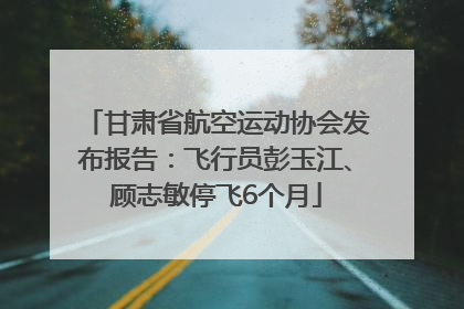 甘肃省航空运动协会发布报告：飞行员彭玉江、顾志敏停飞6个月