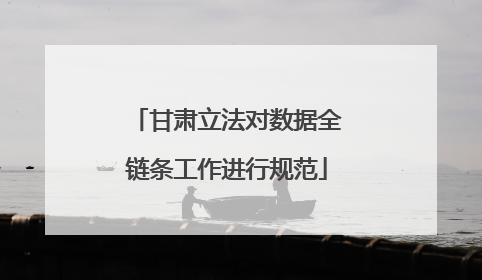 甘肃立法对数据全链条工作进行规范
