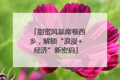 甜蜜风暴席卷西乡，解锁“浪漫+经济”新密码