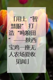 用上“智慧眼” 打造“吨粮田”——陕西宝鸡一座无人农场夏收见闻