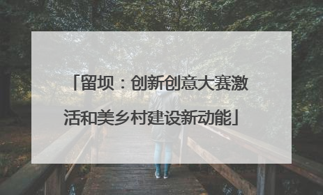 留坝：创新创意大赛激活和美乡村建设新动能