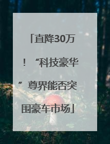 直降30万！“科技豪华”尊界能否突围豪车市场