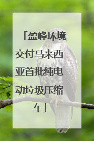 盈峰环境交付马来西亚首批纯电动垃圾压缩车