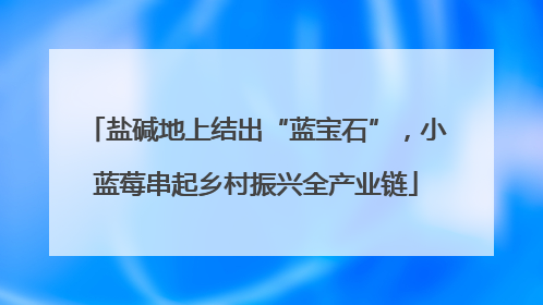 盐碱地上结出“蓝宝石”，小蓝莓串起乡村振兴全产业链