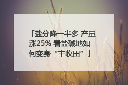 盐分降一半多 产量涨25% 看盐碱地如何变身“丰收田”
