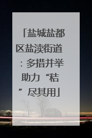 盐城盐都区盐渎街道：多措并举 助力“秸”尽其用
