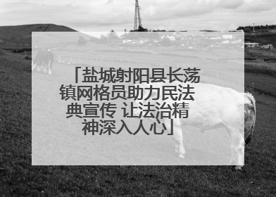 盐城射阳县长荡镇网格员助力民法典宣传 让法治精神深入人心