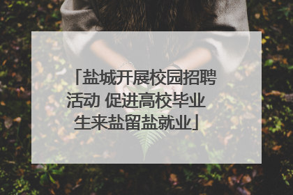 盐城开展校园招聘活动 促进高校毕业生来盐留盐就业