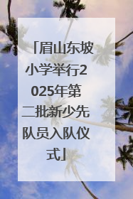 眉山东坡小学举行2025年第二批新少先队员入队仪式