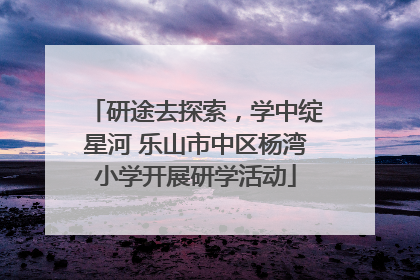 研途去探索，学中绽星河 乐山市中区杨湾小学开展研学活动