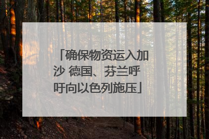 确保物资运入加沙 德国、芬兰呼吁向以色列施压