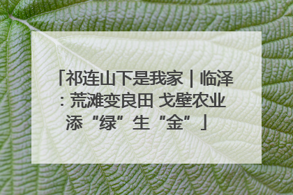 祁连山下是我家｜临泽：荒滩变良田 戈壁农业添“绿”生“金”