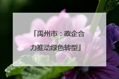 禹州市：政企合力推动绿色转型