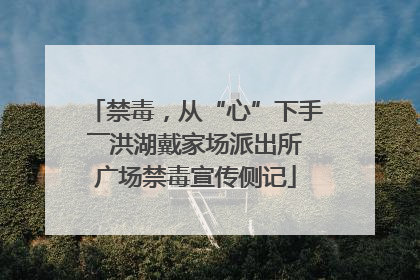 禁毒，从“心”下手――洪湖戴家场派出所广场禁毒宣传侧记