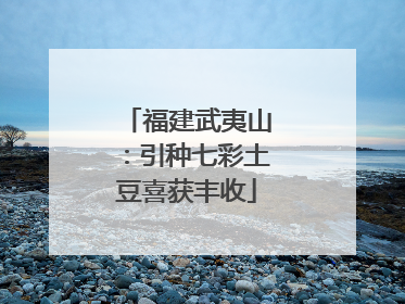福建武夷山：引种七彩土豆喜获丰收