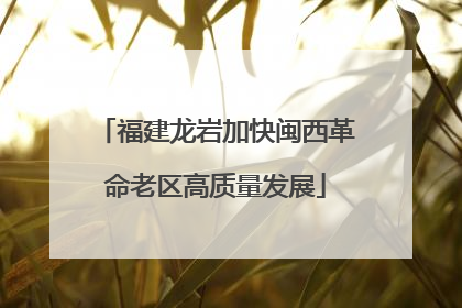 福建龙岩加快闽西革命老区高质量发展