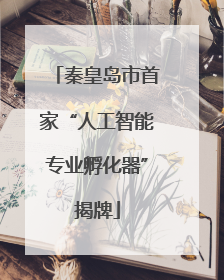 秦皇岛市首家“人工智能专业孵化器”揭牌