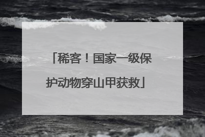 稀客！国家一级保护动物穿山甲获救