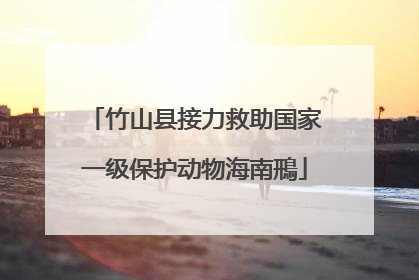 竹山县接力救助国家一级保护动物海南鳽