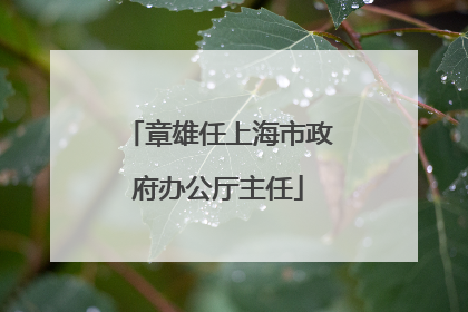 章雄任上海市政府办公厅主任