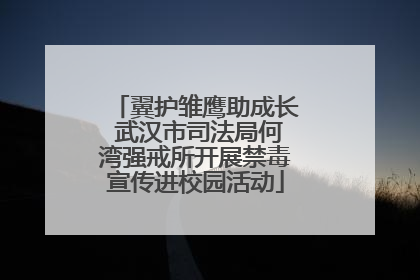 翼护雏鹰助成长 武汉市司法局何湾强戒所开展禁毒宣传进校园活动