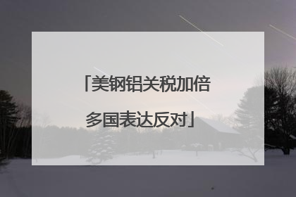 美钢铝关税加倍 多国表达反对