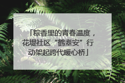 粽香里的青春温度，花堤社区“鹤耋安”行动架起跨代暖心桥