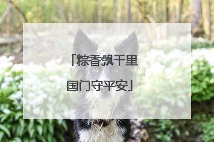 粽香飘千里 国门守平安