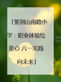 紫荆山南路小学：职业体验绘童心 六一实践向未来