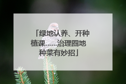 绿地认养、开种植课……治理圈地种菜有妙招