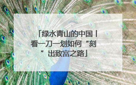 绿水青山的中国丨看一刀一划如何“刻”出致富之路