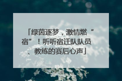绿茵逐梦，激情燃“宿”！听听宿迁队队员、教练的赛后心声