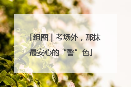 组图｜考场外，那抹最安心的“警”色