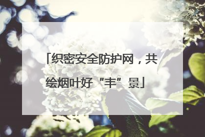 织密安全防护网，共绘烟叶好“丰”景