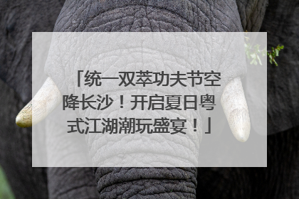 统一双萃功夫节空降长沙！开启夏日粤式江湖潮玩盛宴！