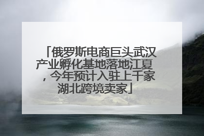 俄罗斯电商巨头武汉产业孵化基地落地江夏，今年预计入驻上千家湖北跨境卖家