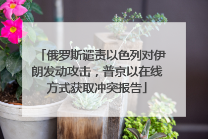 俄罗斯谴责以色列对伊朗发动攻击，普京以在线方式获取冲突报告
