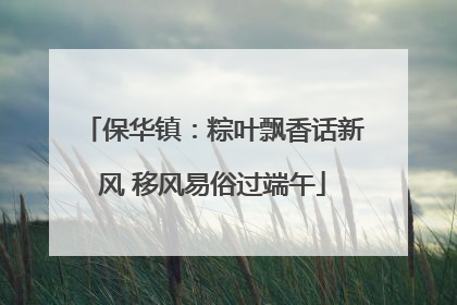 保华镇：粽叶飘香话新风 移风易俗过端午